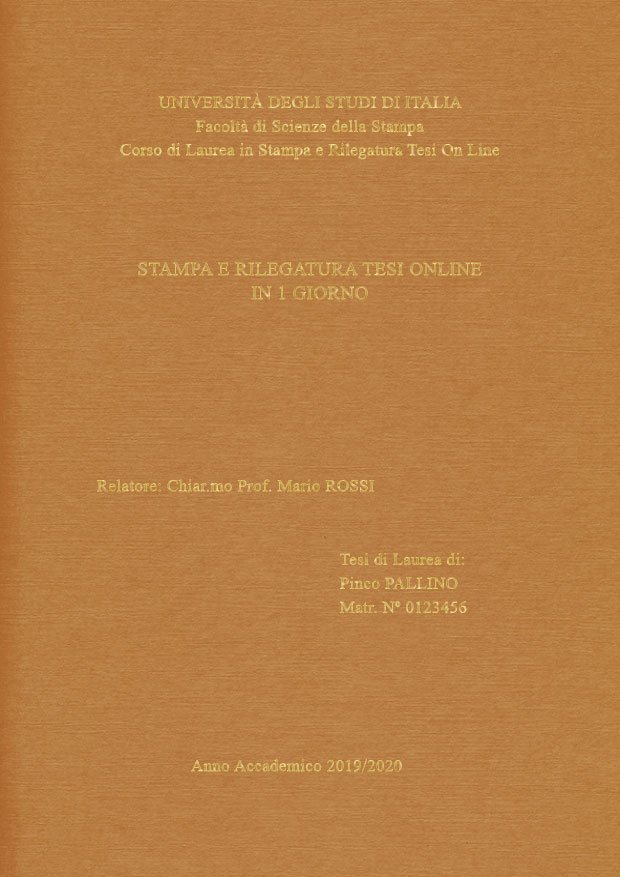 Similtela Beige Oro LAYOUT 2 - Senza Logo - Times New Roman