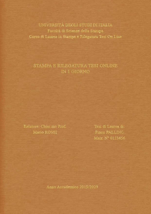 Similtela Beige Oro LAYOUT 3 - Senza Logo - Times New Roman